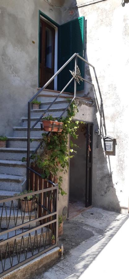 Nicolas House Campiglia dʼOrcia Kültér fotó