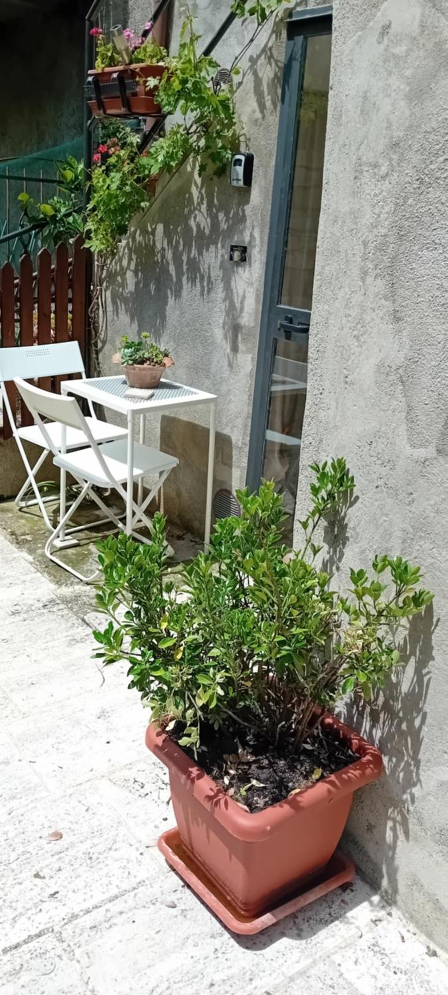 Nicolas House Campiglia dʼOrcia Kültér fotó